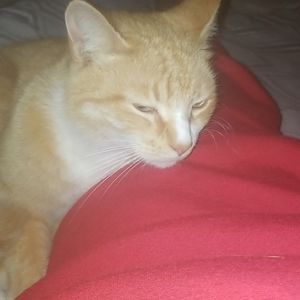 Meet your Posher, Ella